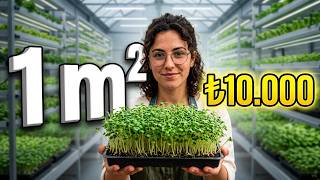 Gramı Altın Değerinde! 💰 1 Metrekarede Mikro Yeşillik Yetiştirerek Ek 