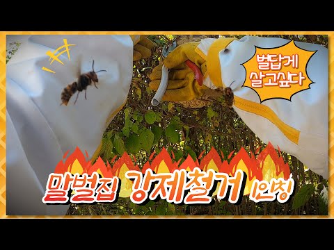 아이콘