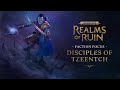 关于 Warhammer Age of Sigmar: Realms of Ruin  Playstation 4  的游戏实况视频