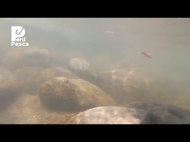 TSURINOYA DW77 110S 22G