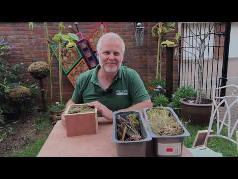 Wildlife Gadget Man Jason Alexander - Bug Hotel Cubes