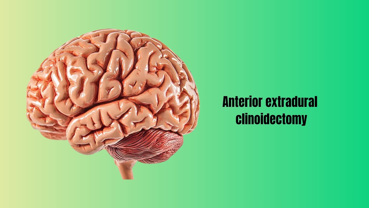 David Tafur Muñoz-2480