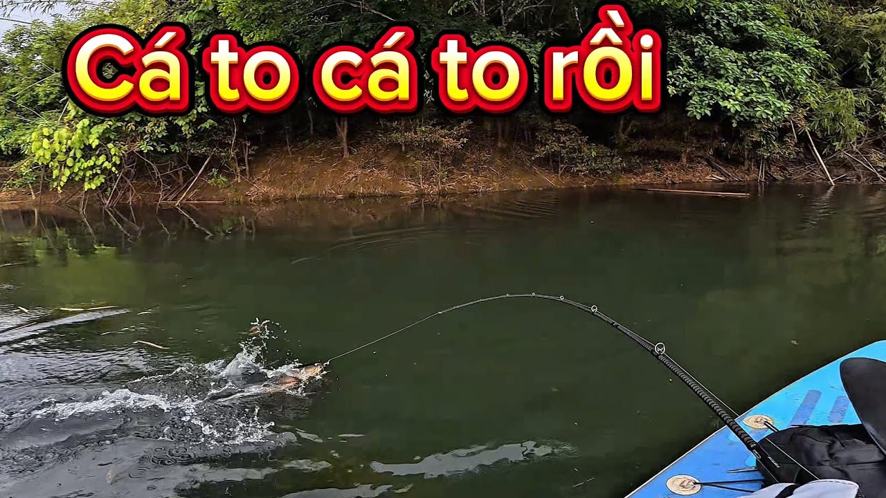 Săn Lóc Bông Suối Tưng Bình Phước Mùa Khô