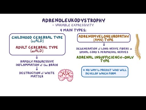 Understanding Adrenoleukodystrophy (ALD)