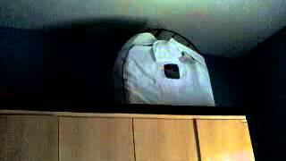 CRIADOURO BARCELONA - pardo Medalha abrindo canto