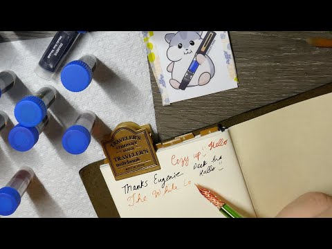 Fountain Pen Ink Exchange - Diamine, Sailor, Robert Oster with  @GenieInTheTecho! 万年筆インク