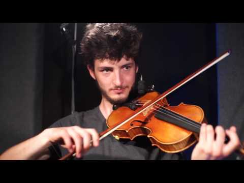 Bargainatt - Hellebore / Kate at the gate (Scottish)