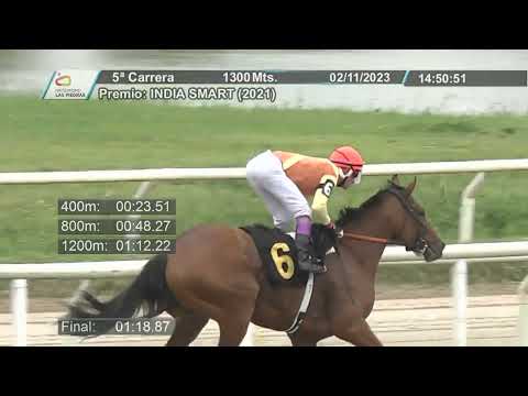 231102 c05 - JORGIANA (BRZ) - HIPODROMO LAS PIEDRAS