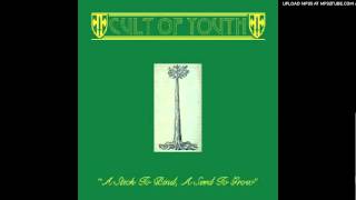 Cult of Youth - Brick by Brick