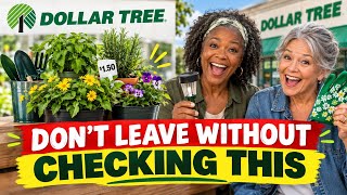 Dollar Tree Just Restocked the Garden Aisle and It's Insane🔥