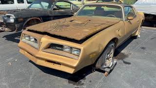 1978 Pontiac Trans Am Walk Around