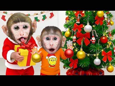 Mono MoMo Cosecha Frutas Deliciosas y Decora el Árbol de Navidad con el Mono Bebe En Casa