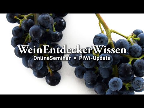🍇 PiWi-Update 🍇 – WeinEntdeckerWissen OnlineSeminar