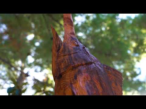 Apartmani s pogledom na more :)