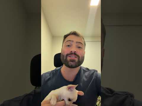 Lucas Vieira-1