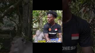 Download lagu SPEED IN BALI INDONESIA mp3 Download lagu SPEED IN BALI INDONESIA mp3