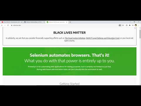 18 - WEB SCRAPING vba - Installare Selemiun per usare Chrome,  Edge, Opera, ecc.
