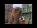 Sesame Street Kids Favorite Songs Part 3