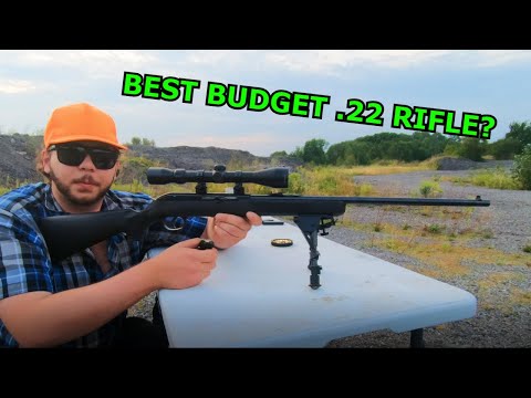 SAVAGE Model 64F 22LR Semi-Auto Rifle REVIEW!!! (BEST Budget Buy!)