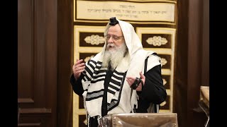 מסע הגר''ש אלתר מגור בלוס אנג'לס - תקציר יום ב' | Rav Shaul Alter Historic Visit To Los Angeles - P2