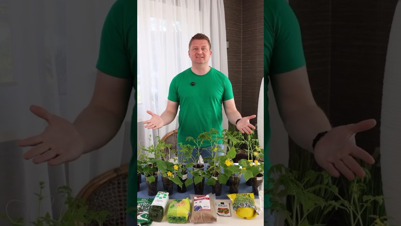 Что добавить в грунт, чтобы рассада росла как на дрожжах? Проверили и делимся результатами