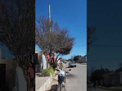 Primavera Dean Funense