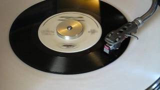 Marcy Playground - &quot;Ancient Walls of Flowers&quot; (US Vinyl 45 Issue) 1997