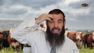 הקורבנות בבית המקדש   איך אכלו כל כך הרבה בשר , למה לא הקריבו דגים , ועוד | הרב שמואל אידלמן (הרב יוסף צבי בן פורת) - התמונה מוצגת ישירות מתוך אתר האינטרנט יוטיוב. זכויות היוצרים בתמונה שייכות ליוצרה. קישור קרדיט למקור התוכן נמצא בתוך דף הסרטון