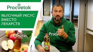 Ложка меда натощак утром польза и вред для беременных