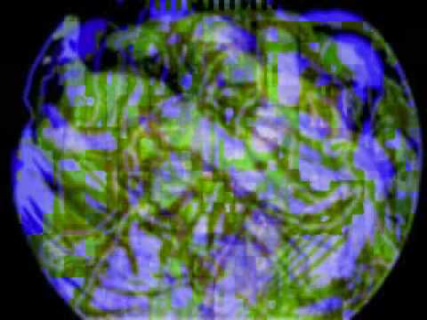 Robertos - Raničkosi