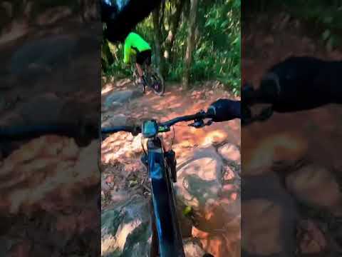 TRILHA DA BOCAINA JOAQUIM EGIDIO  (SP)