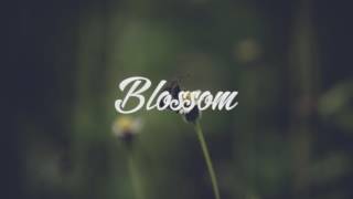 NAS x COOKIN SOUL - NEWSFLASH