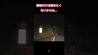 動物だけは轢きたくないからね… #心霊 #心霊スポット #恐怖