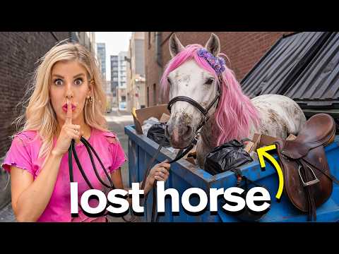 I Hid a Horse In My House