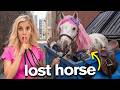 I Found A Lost Horse