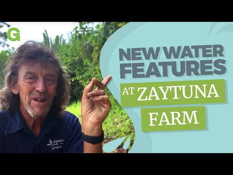 New Water Features at Zaytuna Farm