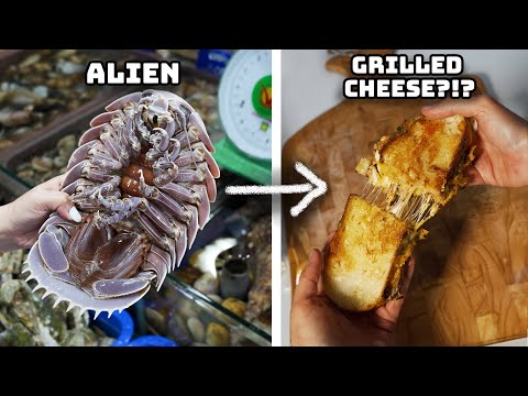 Alien Seafood NIGHTMARE Grilled Cheese Sandwich!!
