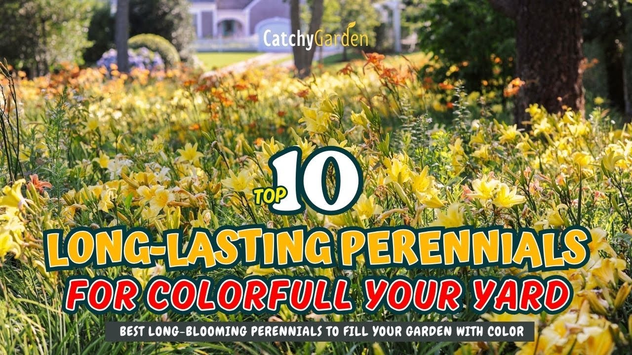 TOP 10 LONG-LASTING PERENNIALS to Keep Your Garden BLOOMING Year-Round! 🌼🎨🌸 // Gardening Ideas