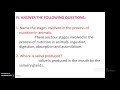 VII Biology Day 8 Nutrition In Animals Q A