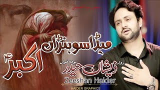 Meda Sohna Akbar as  Zeeshan Haider  New Nohay 202