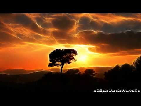 Most Epic Music Of All Time - African Skies (Stephen J. Anderson)