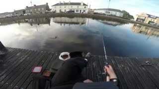 preview picture of video 'Royal Canal Float Fishing'