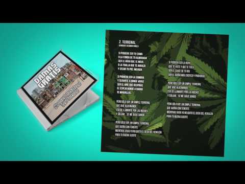 02 - DAMAS GRATIS - TERRENAL (2016)