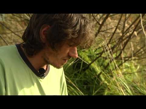 In Gelderland 31 oktober 2012