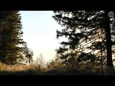 KOGA KUR'AN NE IZLJEČI ZA NJEGA NEMA LIJEKA