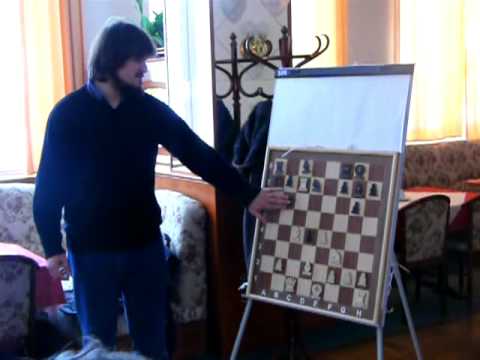 Analýza partie Jiří Štoček - Vojtěch Plát část.1