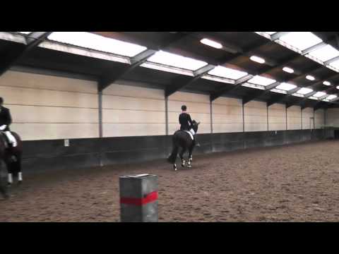 I.P.S Bon Bravour roosendaal HK 2011.avi