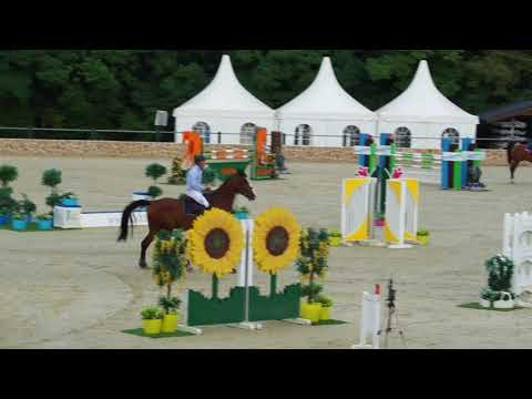 JAGURAR R V ANDIAMO LAKE ARENA CSI 2 130 CM 2017