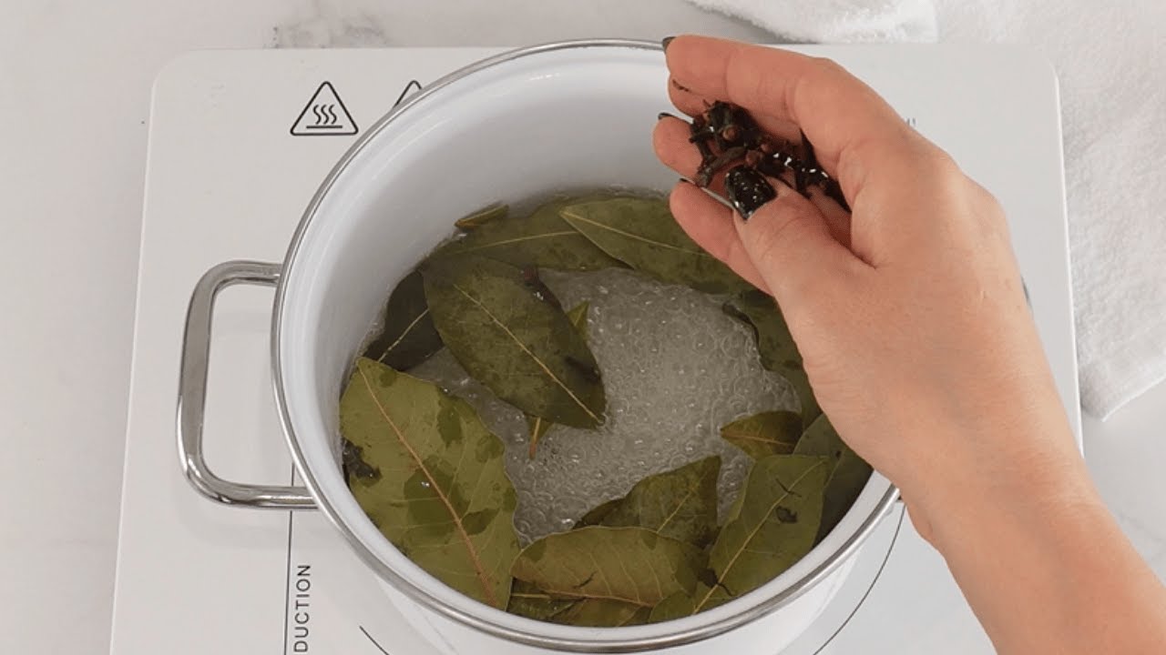 Add THIS to the bay leaves and the INSECTS disappear 🍃