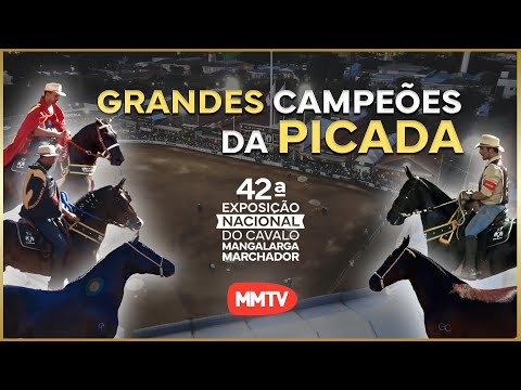 GREAT CHAMPIONS 2025 - MARCH PICADA 42ND NATIONAL EXP.